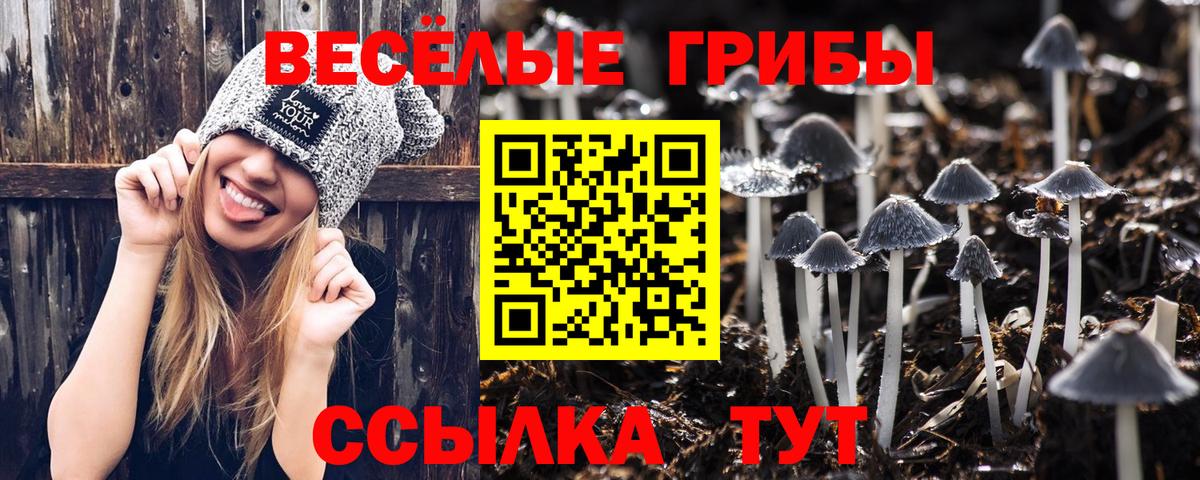 Курчатов  Галлюциногенные грибы ЛСД  Галлюциногенные грибы Magic Shrooms  Вход с VPN 