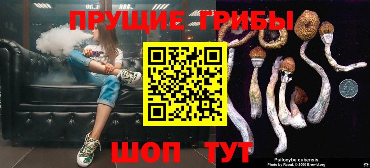 Псилоцибиновые грибы прущие грибы Курчатов
